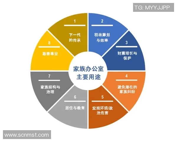 乌拉圭足球明星的数量与影响力探讨及其历史成就分析
